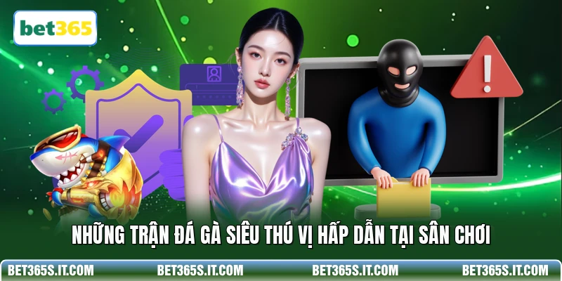 Những trận đá gà siêu thú vị hấp dẫn tại sân chơi